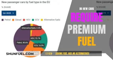 Understanding Fuel Requirements: Do New Cars Need Premium Gas?