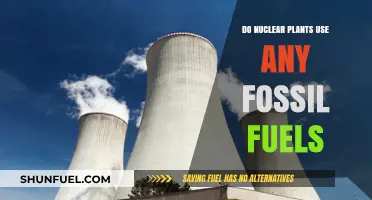 Are Fossil Fuels Used in Nuclear Power Plants?
