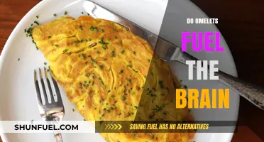 Boost Brain Power: Do Omelets Enhance Cognitive Function?