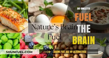 Boost Your Brain Power: Do Omelettes Enhance Cognitive Function?
