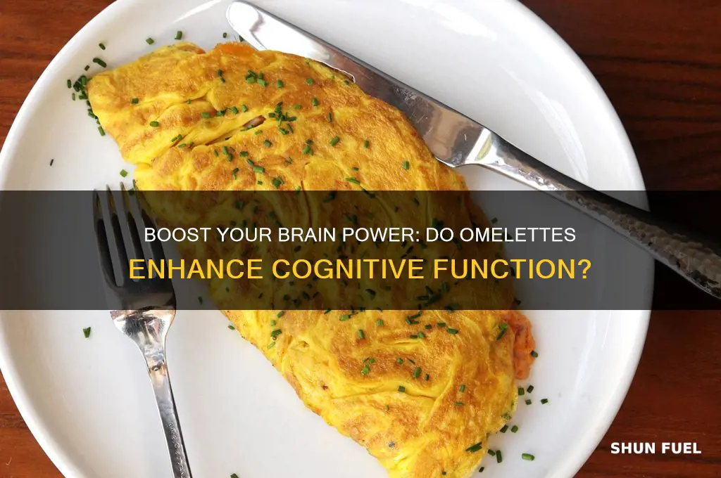 do omletts fuel the brain