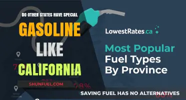 Exploring Regional Gasoline Varieties: California and Beyond
