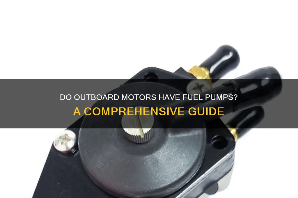 do outboard motors have fuel pumps