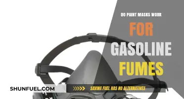 Do Paint Masks Offer Adequate Protection Against Gasoline Fumes?