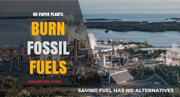 Paper Plants: Burning Fossil Fuels or Not?