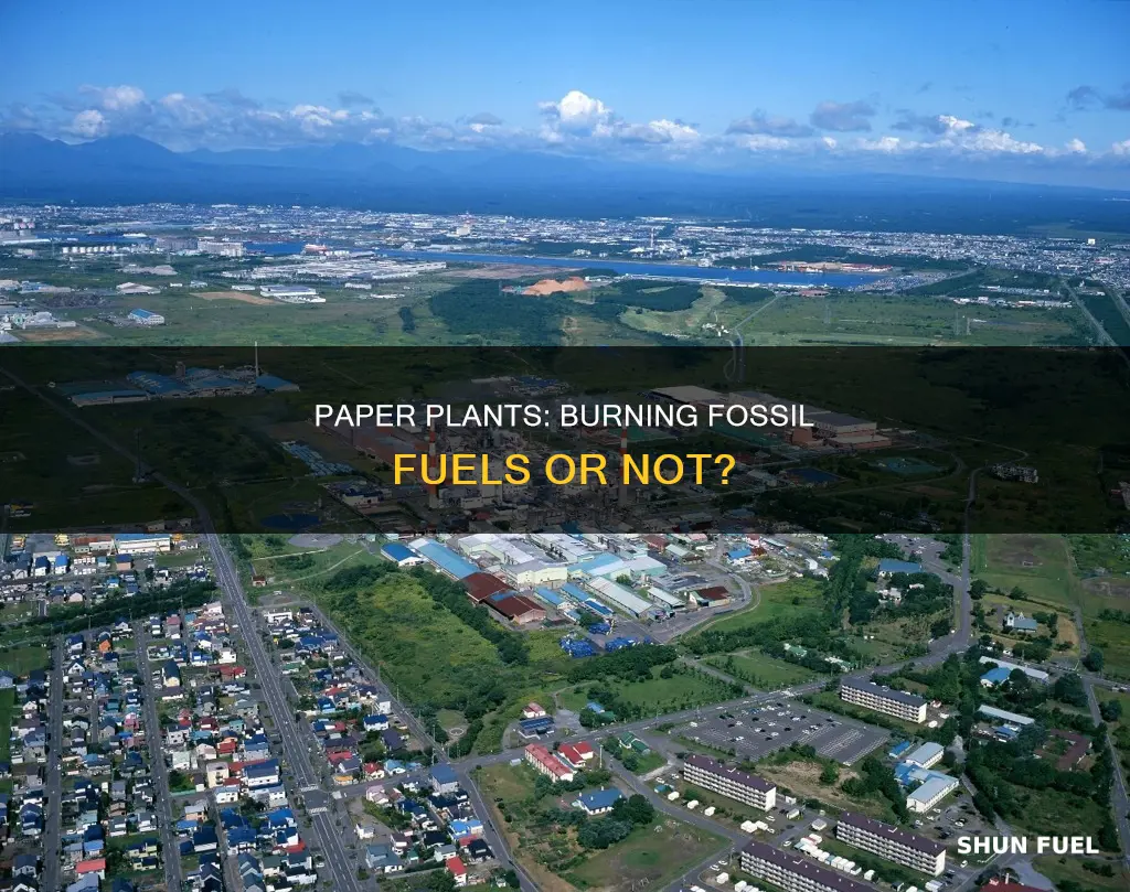 do paper plants burn fossil fuels