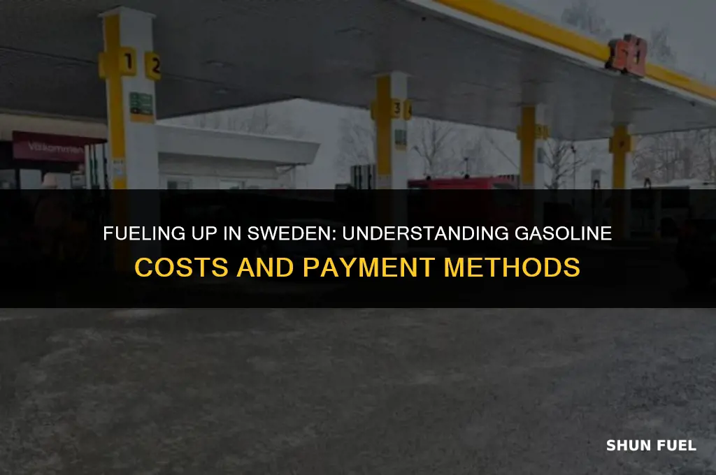 do people in sweden pay for gasoline