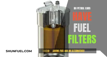 Petrol Cars: Uncovering the Mystery of Fuel Filters