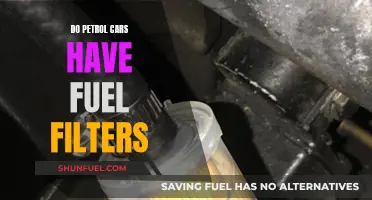 Fuel Filters in Petrol Cars: Are They Necessary?