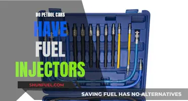 Fuel Injectors in Petrol Cars: What You Need to Know