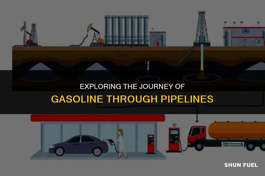 do pipelines carry gasoline