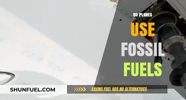 Do Planes Rely on Fossil Fuels? Exploring Aviation's Energy Sources