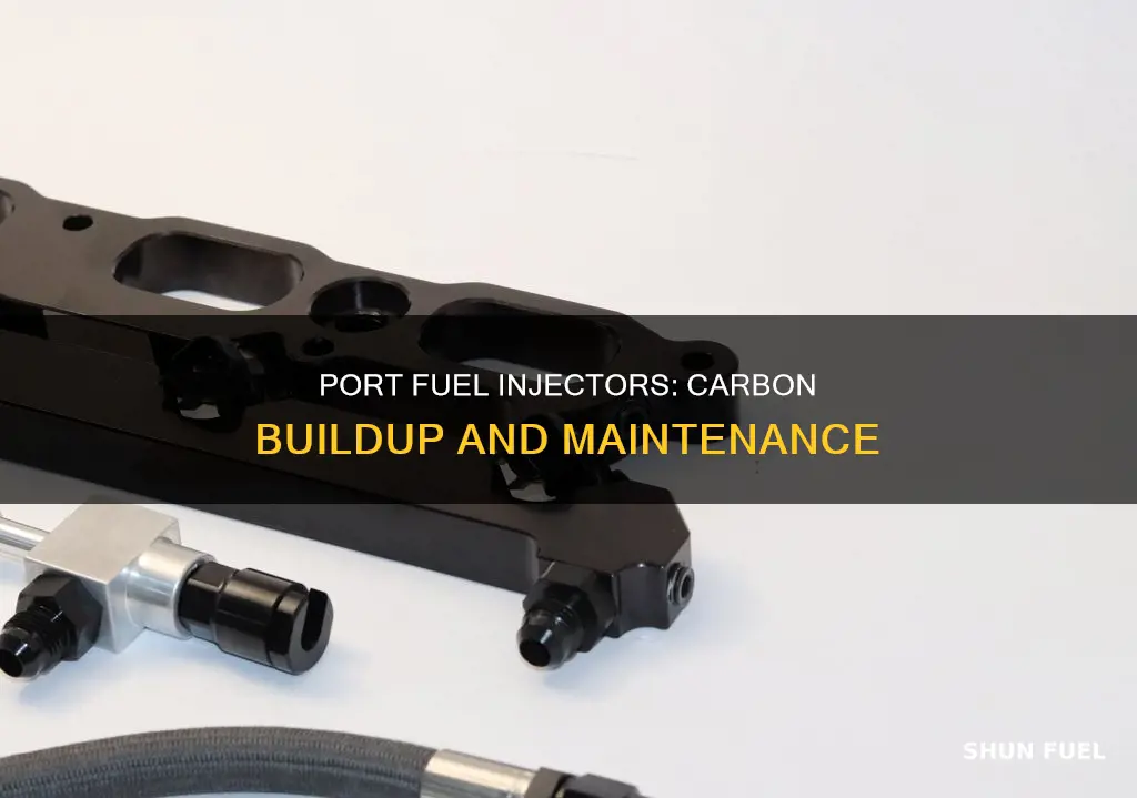 do port fuel injectors build up more carbon