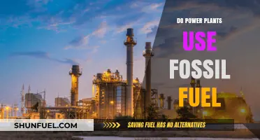 Fossil Fuels: Power Plants' Energy Sources