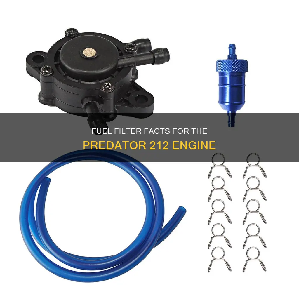 do predator 212 have fuel filter