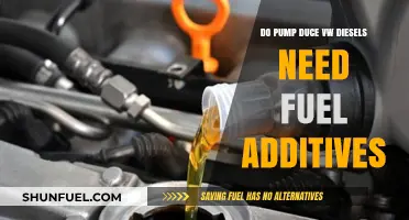 Pump-Duse Engines: Fuel Additives Needed?