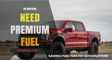 Premium Fuel for Raptors: Essential or Overkill for Optimal Performance?