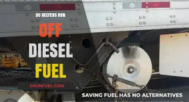 The Power Behind Reefers: Diesel Fuel Explained