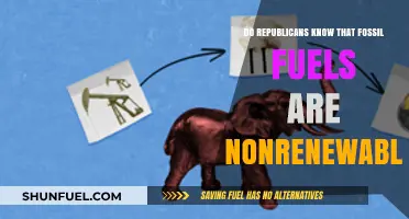 Republicans' Stance on Fossil Fuels: Ignorance or Denial?