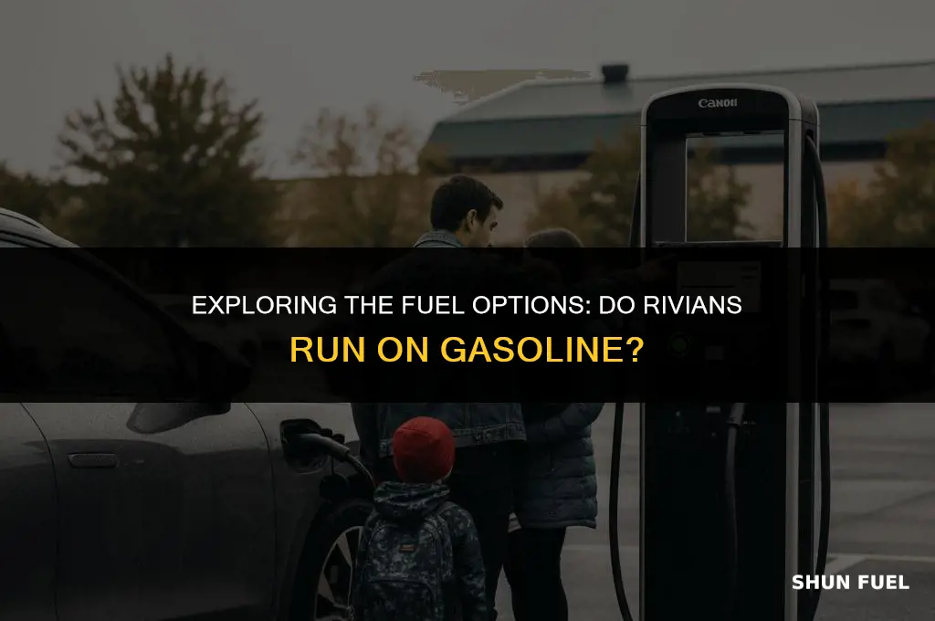 do rivians have gasoline
