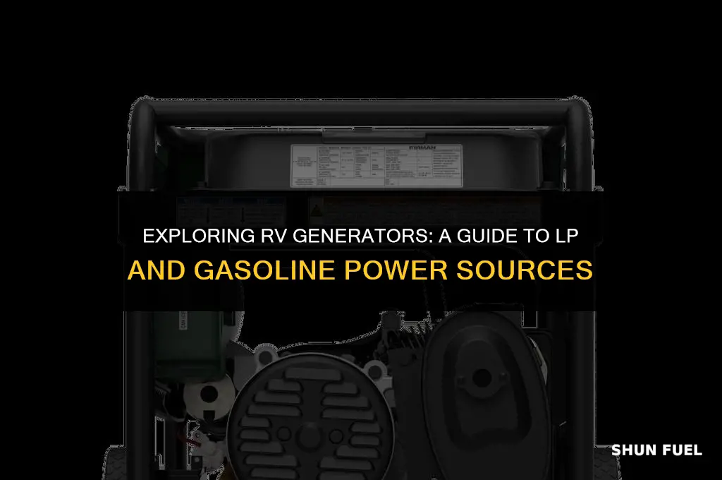do rv generators run on lp and gasoline