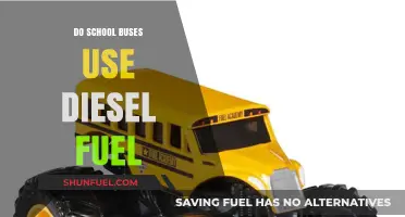 School Bus Fuel: Diesel or Not?