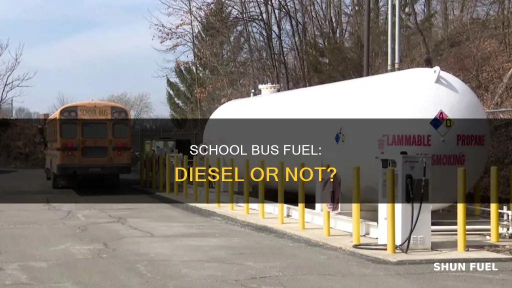 do school buses use diesel fuel