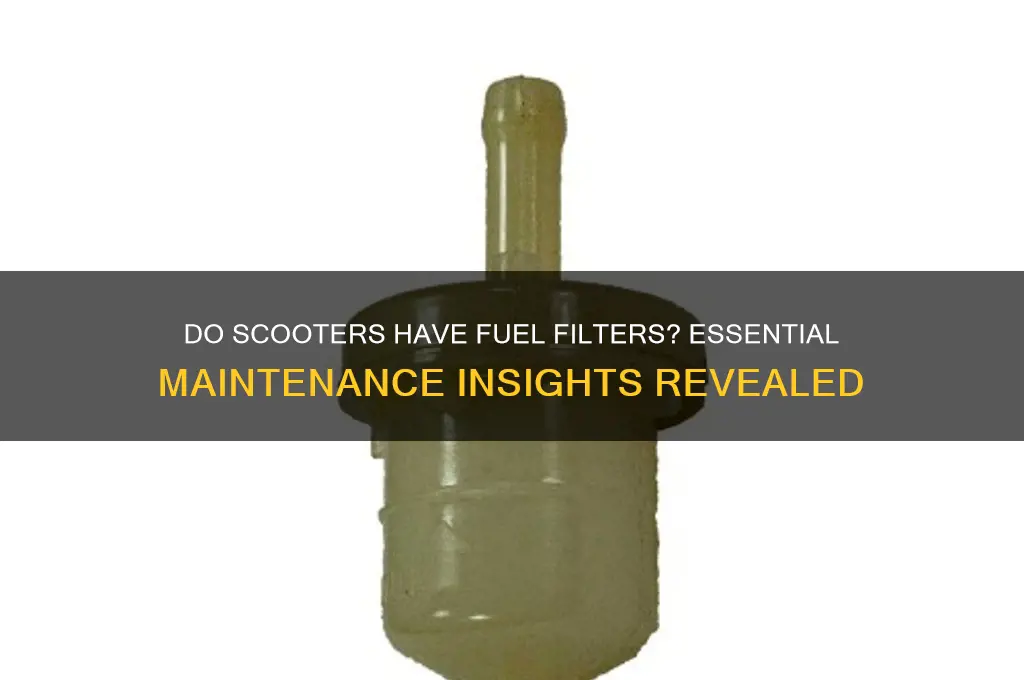 do scooters have fuel filters