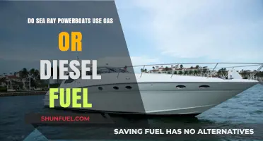 Sea Ray Powerboats: Gas or Diesel Fuel?