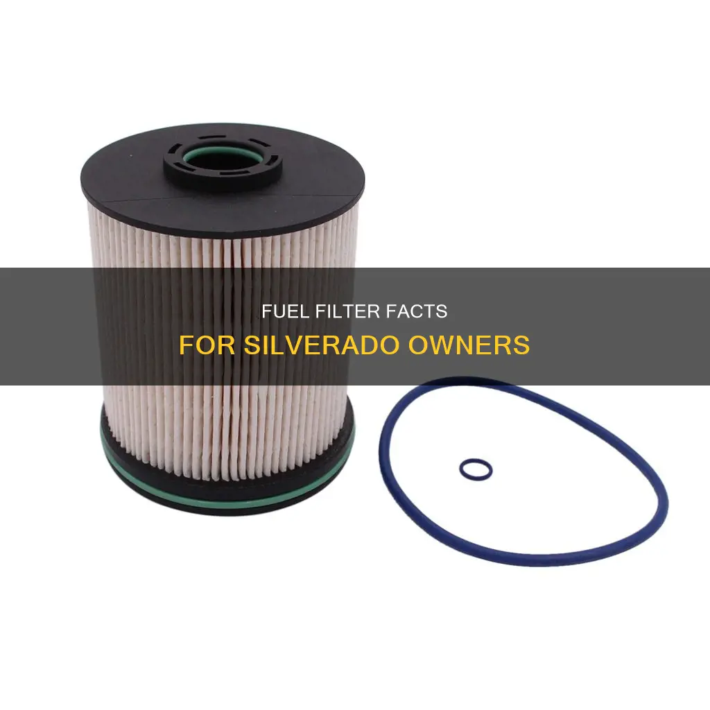 do silverados have a fuel filter