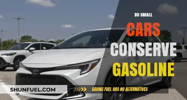 Fuel Efficiency Unveiled: The Truth About Small Cars and Gasoline Conservation
