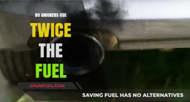Smoking and Fuel Efficiency: Do Smokers Use Twice the Fuel?