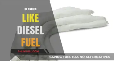 Snakes and Diesel Fuel: A Strange Attraction
