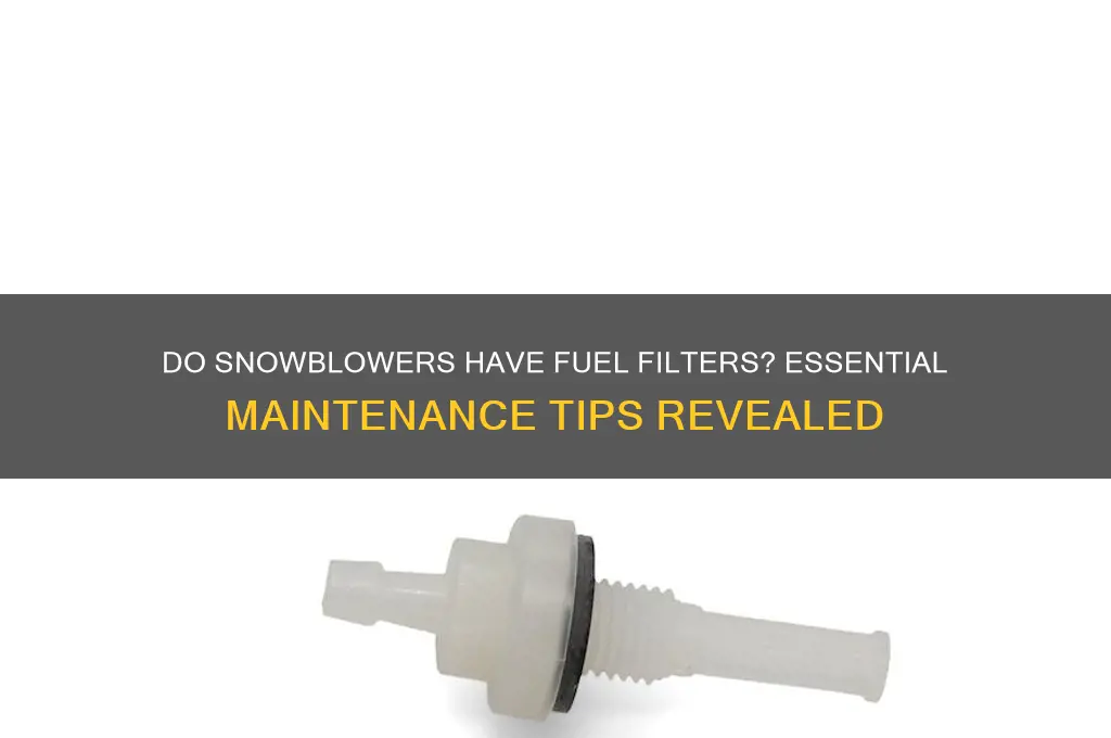 do snowblowers have fuel filters