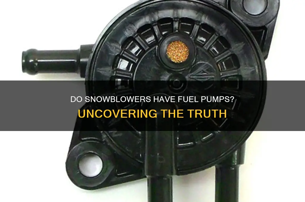 do snowblowers have fuel pumps
