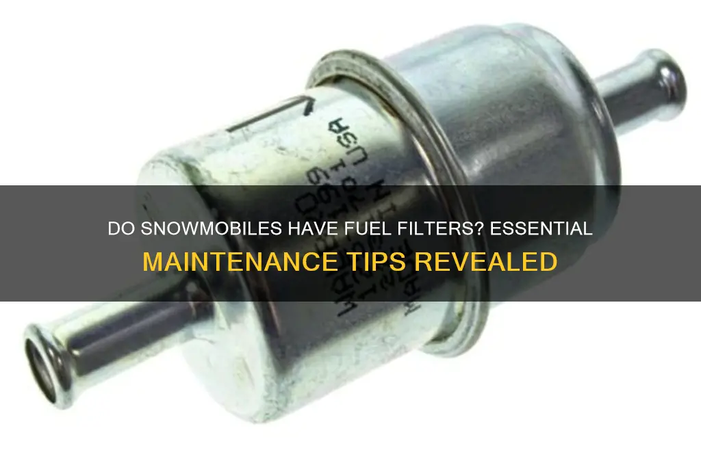 do snowmobiles have fuel filters