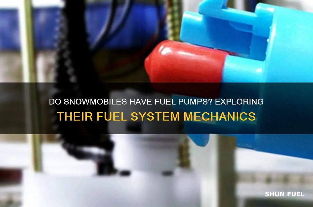 do snowmobiles have fuel pumps