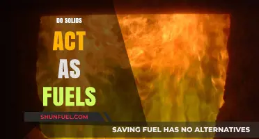 Can Solids Fuel Energy? Exploring Solid Combustion and Fuel Potential