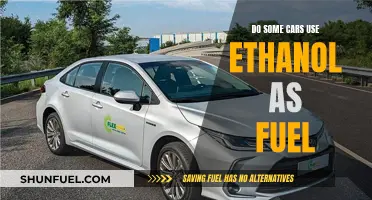 Ethanol Fuel: The Green Alternative in Modern Cars