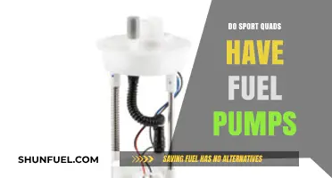 Do Sport Quads Have Fuel Pumps? Exploring ATV Fuel Systems