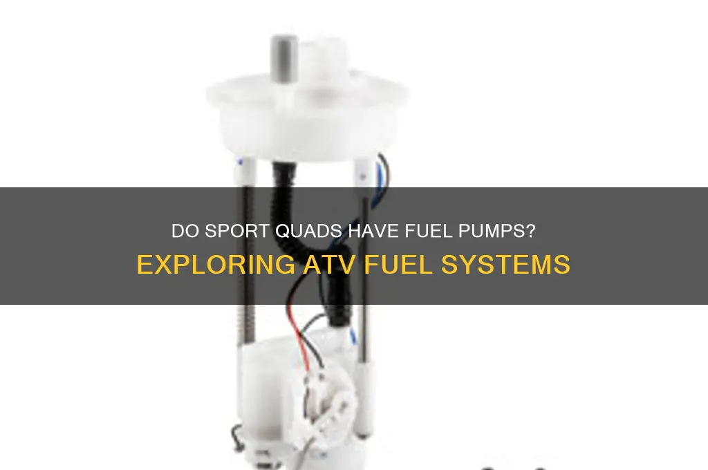do sport quads have fuel pumps