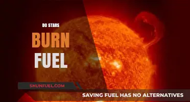 Do Stars Burn Fuel? Unveiling the Cosmic Energy Source