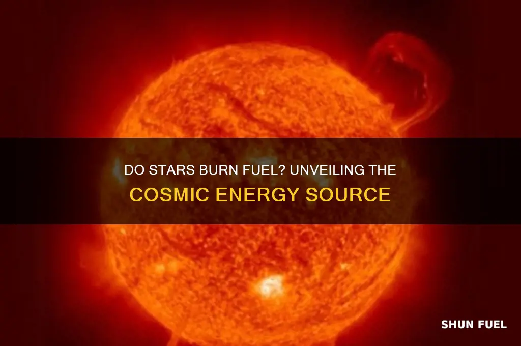 do stars burn fuel