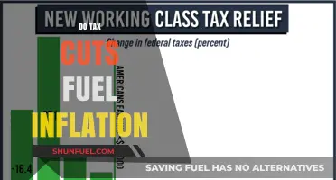 Tax Cuts and Inflation: Economic Impact and Policy Implications