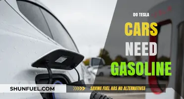 Exploring the Fuel-Free World of Tesla Cars: No Gasoline Required!