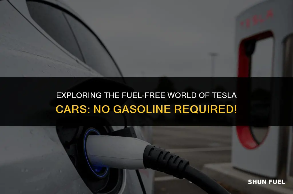 do tesla cars need gasoline