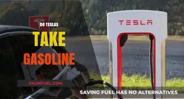 Exploring the Fuel-Free World of Tesla Vehicles
