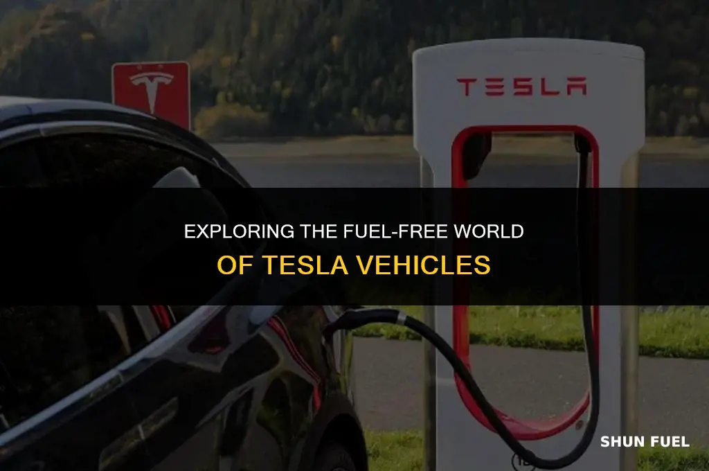 do teslas take gasoline