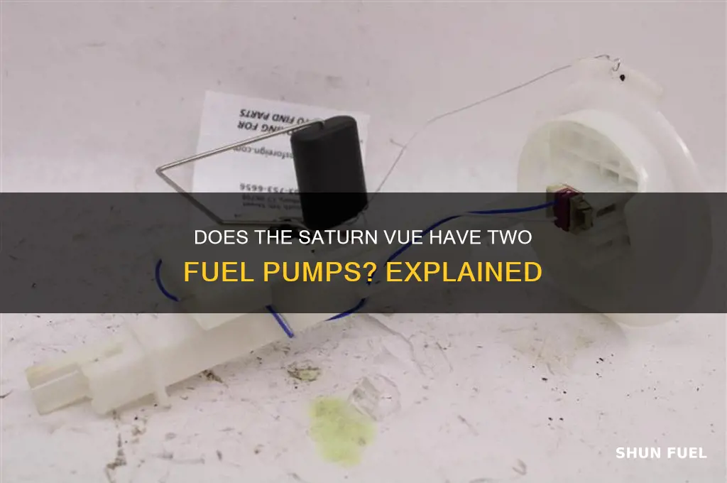 do the saturn vue have two fuel pumps