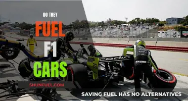 F1 Fuel: Powering the Ultimate Speed Machines